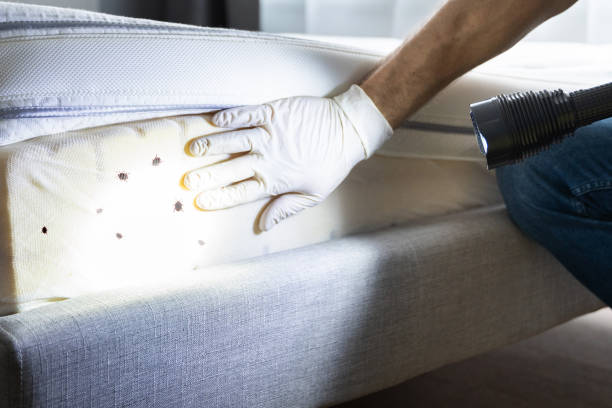 Best Pest Control for Businesses  in Jamestown, ND