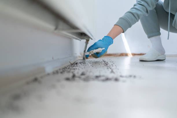 Best Pest Removal Services  in Jamestown, ND